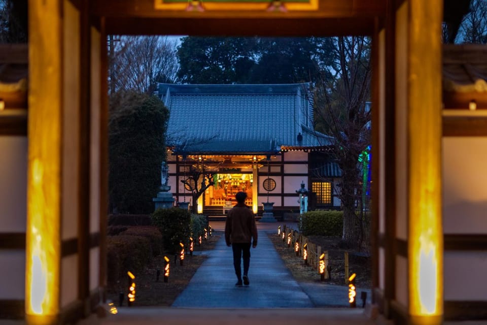 Property building, Facade/entrance, Night, People, Garden view