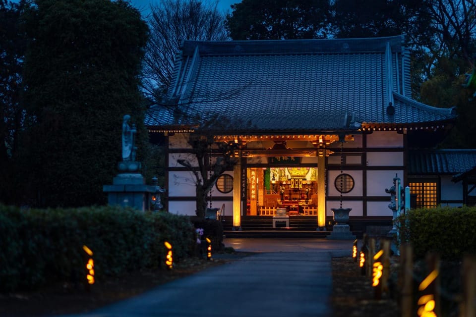 Property building, Off site, Night, Garden, Other, Garden view