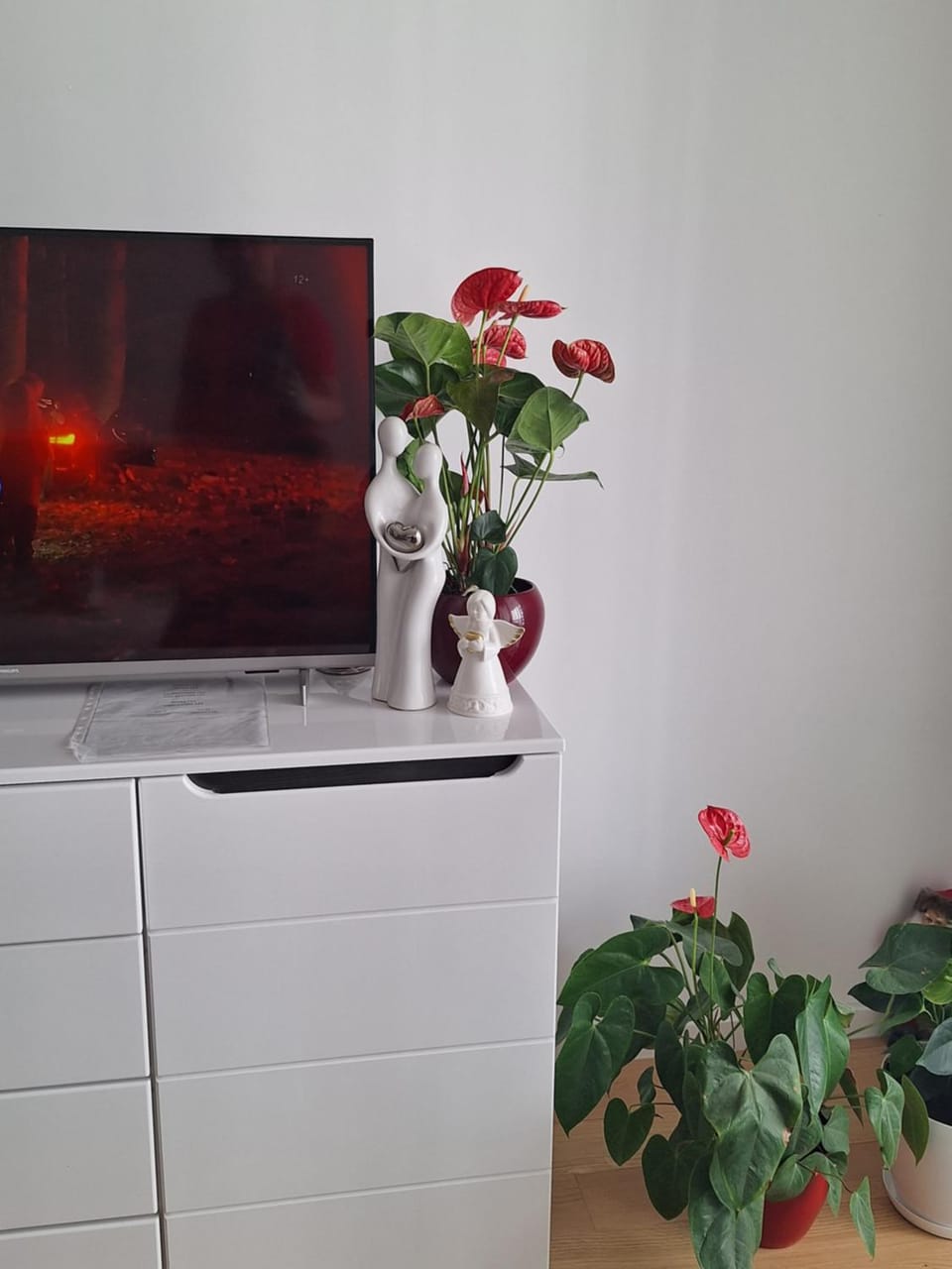 Apartman Kuburica Apartment in Dubrovnik-Neretva County