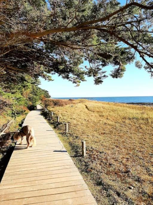 Centre ville de Sarzeau, appartement au calme avec jardinet et parking privé Apartment in Brittany