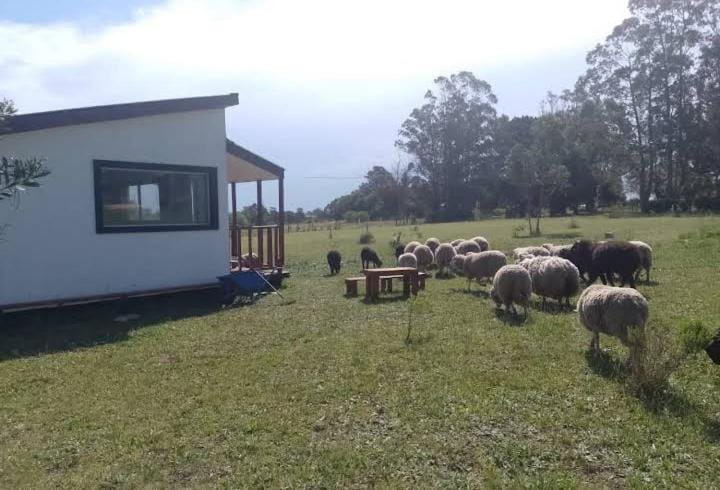 Tiny House Pura Vida Chapadmalal House in Buenos Aires Province
