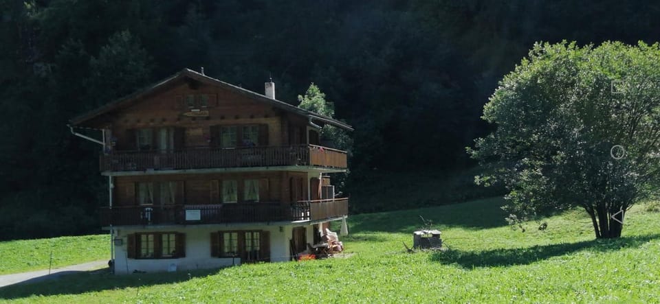 Spring, Garden view