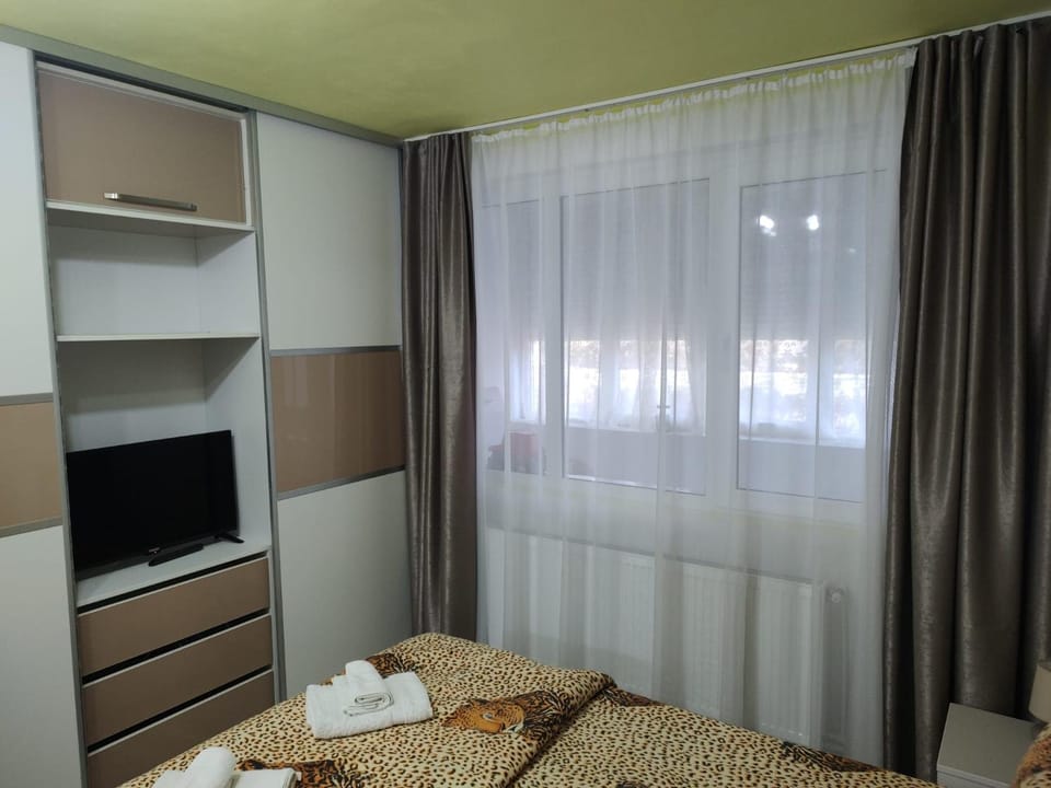 Family Rooms Hunedoara Apartment in Serbia