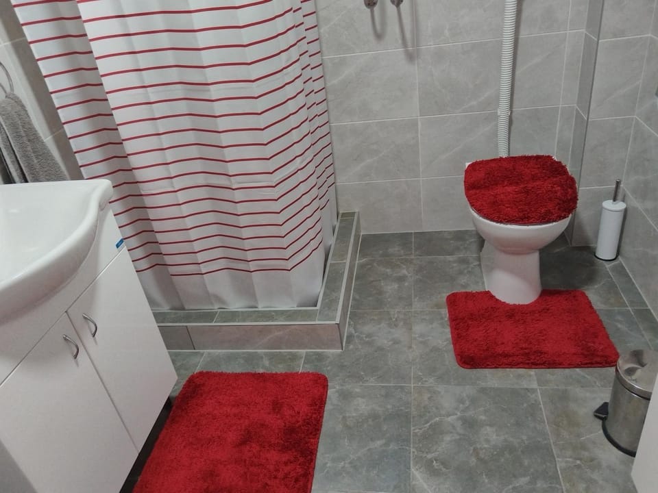 Stari Hrast 2 Apartment in Serbia