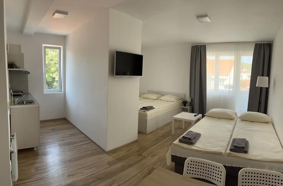 Smeštaj Milutinn, centar Sokobanje, iza Miloševog konaka Apartment in Serbia