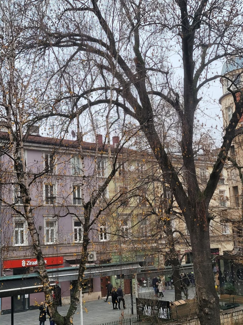Neighbourhood, Street view