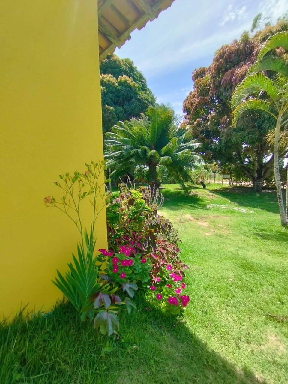 Day, Natural landscape, Garden, Garden view