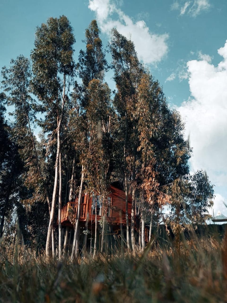 Natural landscape
