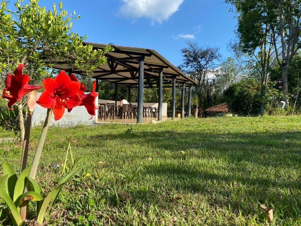 Property building, Garden view