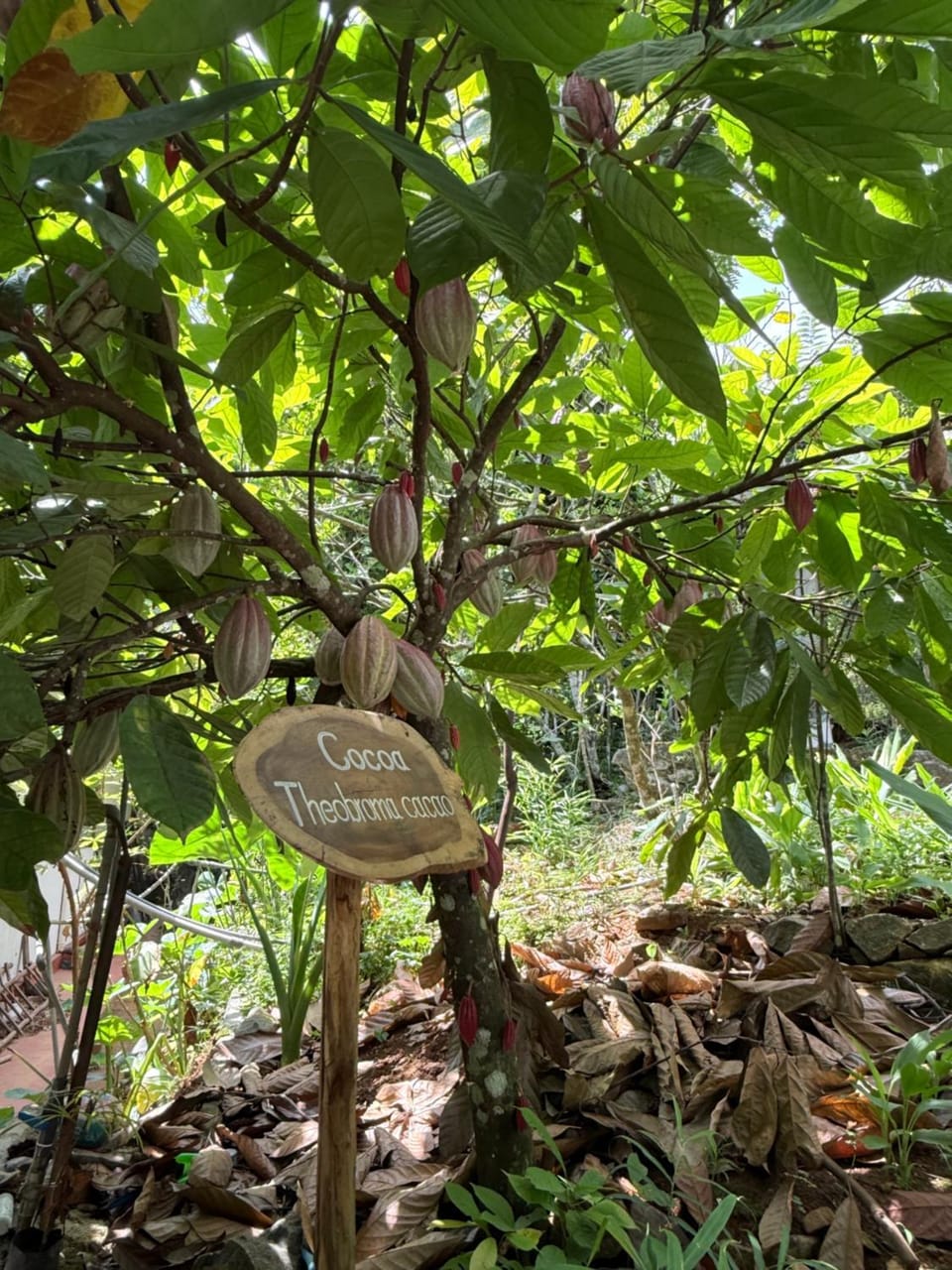 Ella nine arch spice garden Hotel in Uva Province, Sri Lanka