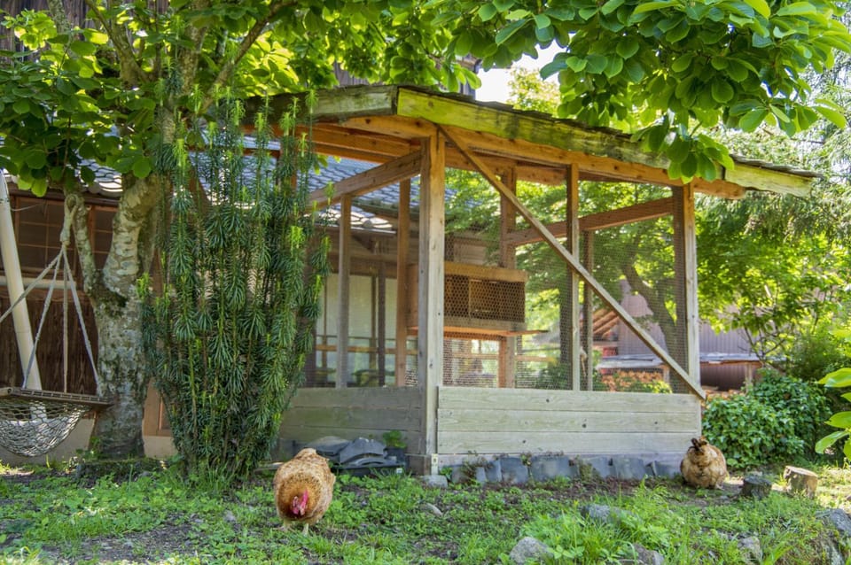 Spring, Day, Garden, Garden view