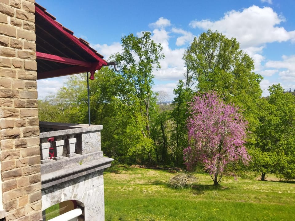 Spring, Day, Natural landscape, Garden, Balcony/Terrace, Garden view