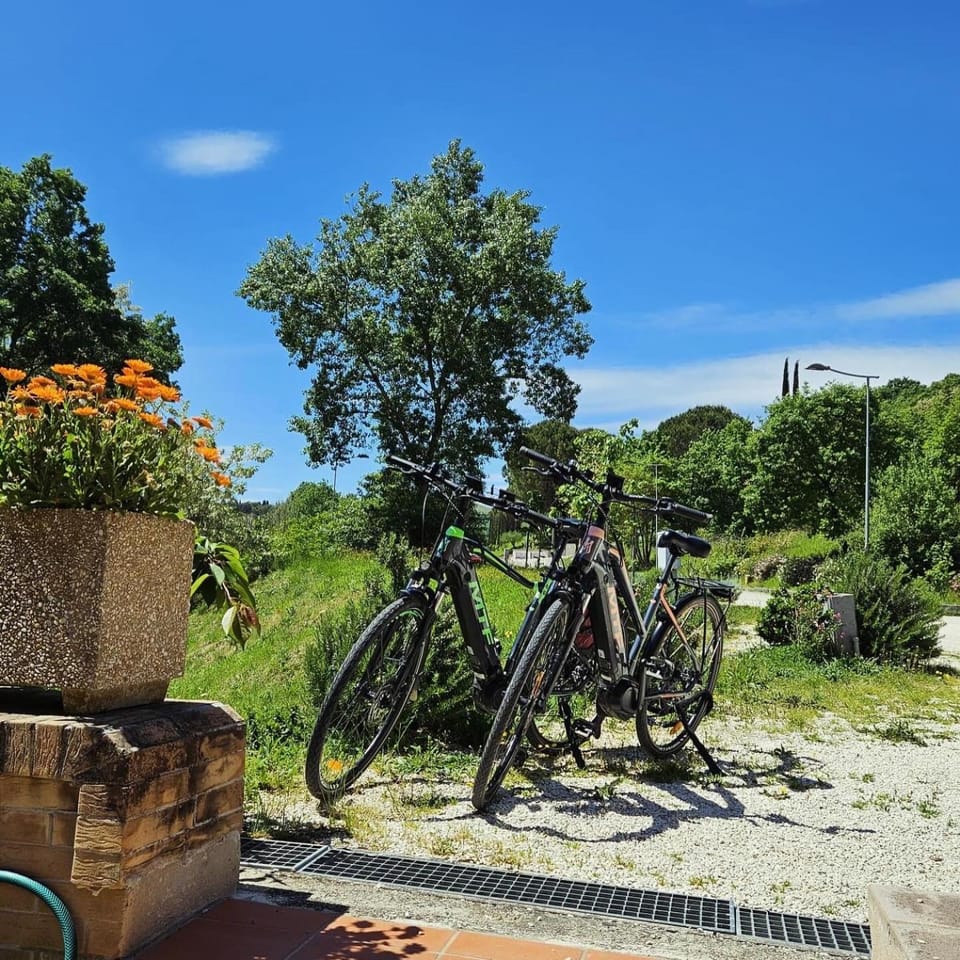 Cycling, Cycling