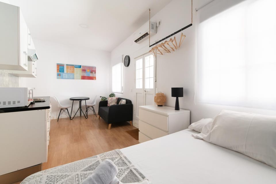 Ático Estudio con Terraza - Centro Sevilla Apartment in Seville