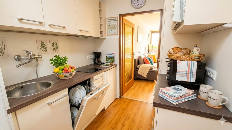 Kitchen or kitchenette, dishwasher