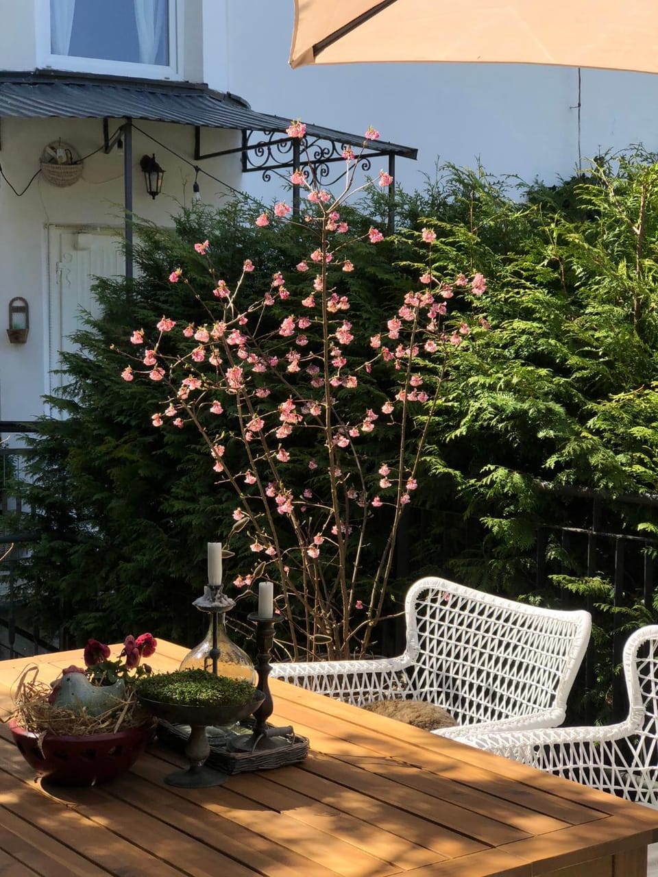 Spring, Garden, Balcony/Terrace
