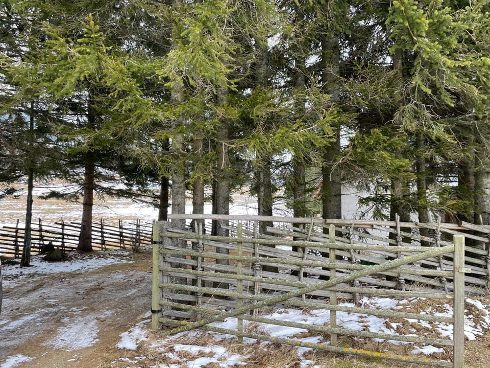 Teichalm Lodge Landhaus House in Styria