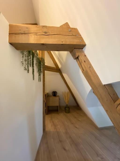 Les Toits d'Austerlitz Apartment in Strasbourg