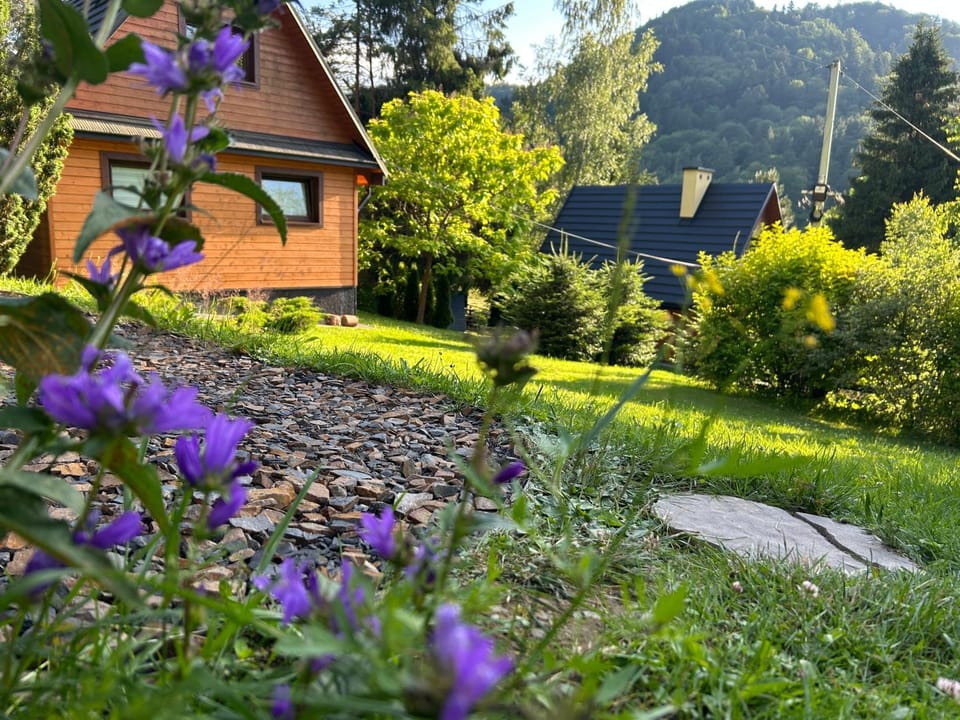 Reset Bieszczady Chalet in Poland