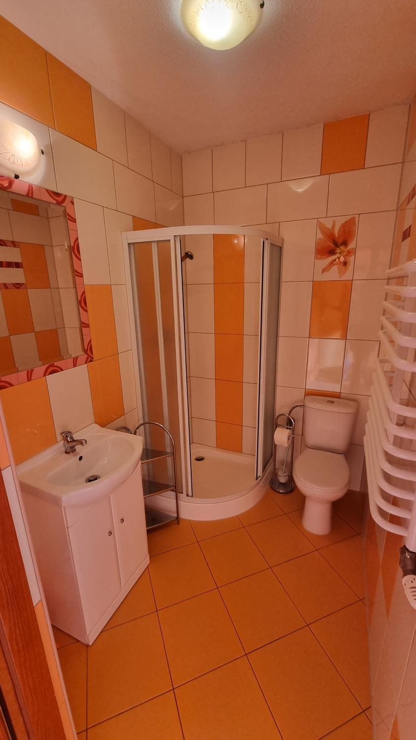 Shower, Toilet, Bathroom, towels