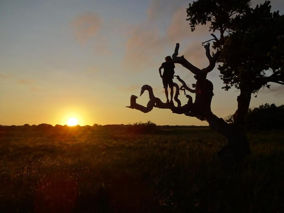 Natural landscape, Sunset