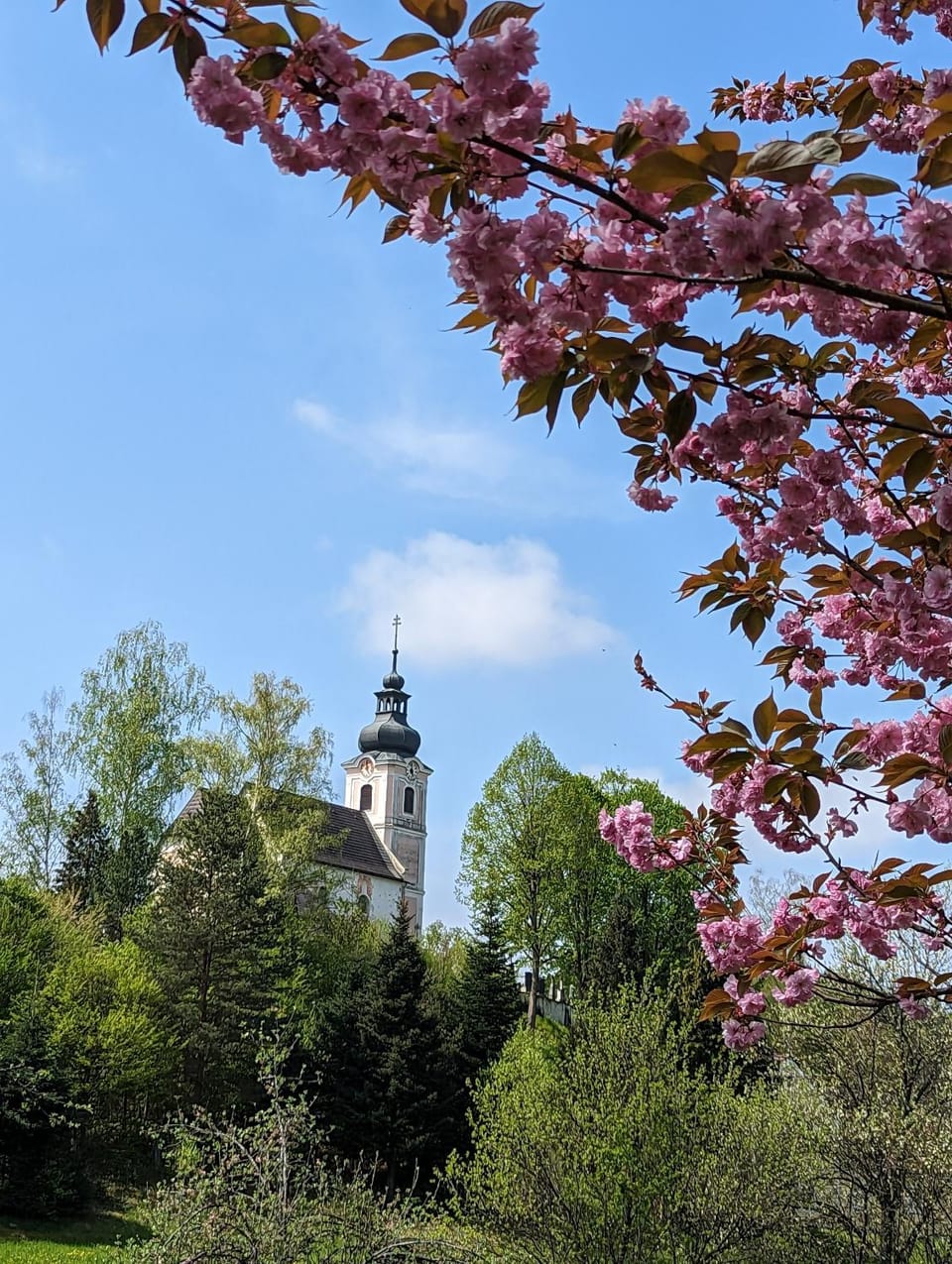 Landmark view