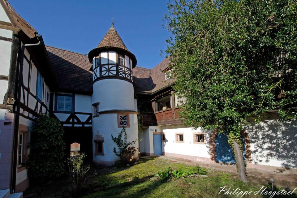 Garden view, Landmark view