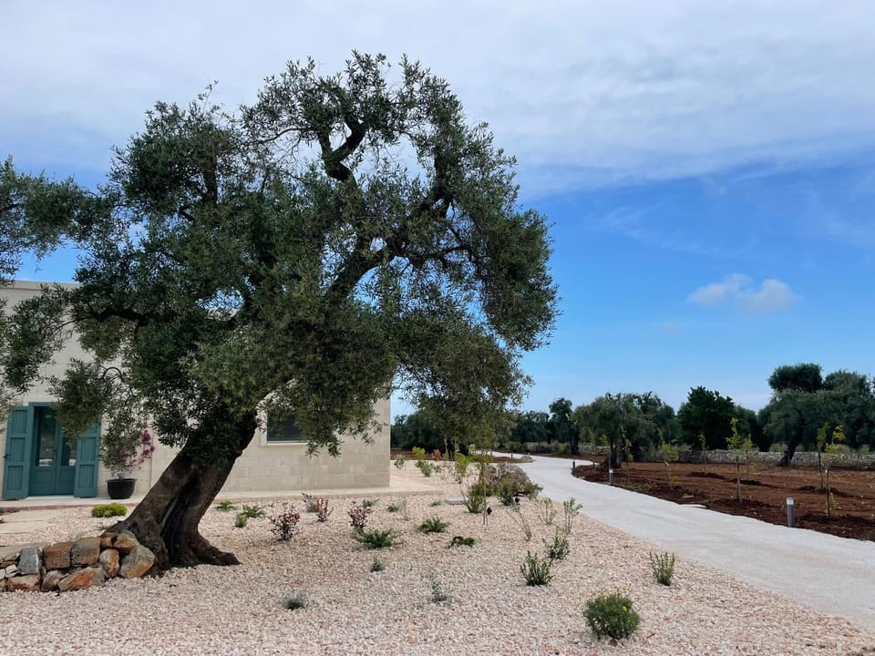 Nido Maremonte Villa in Province of Taranto
