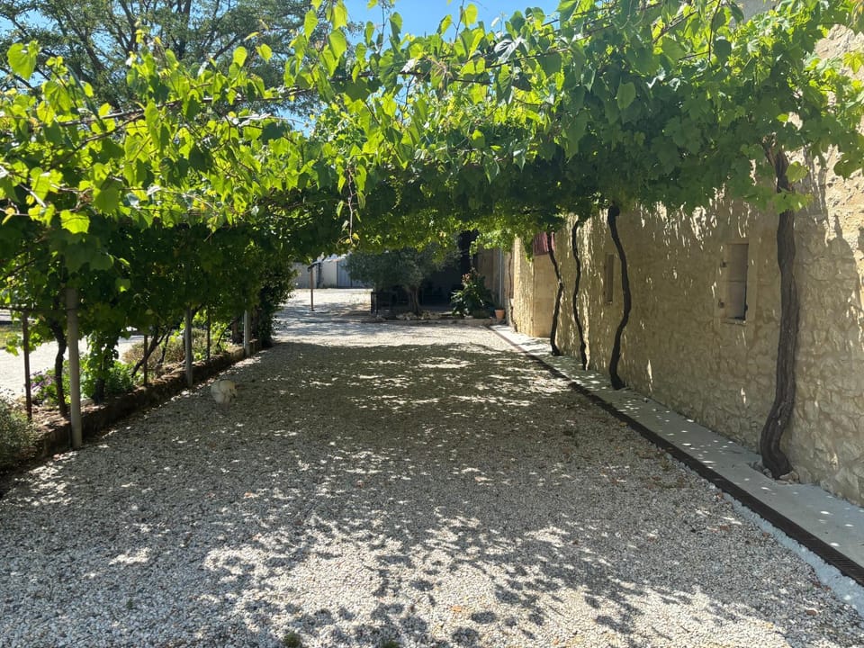 Garden, Garden
