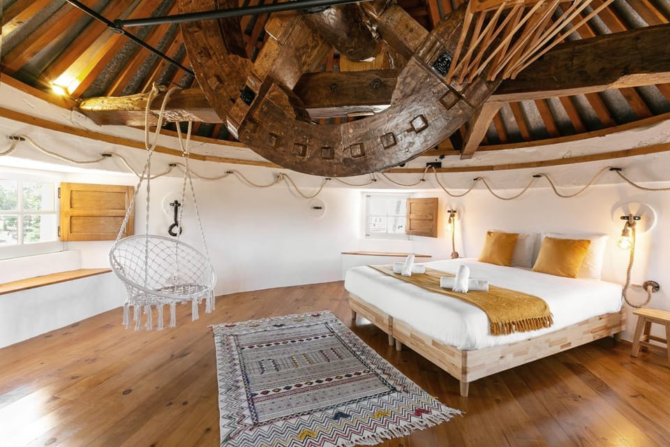 Bed, Living room, Photo of the whole room, Bedroom