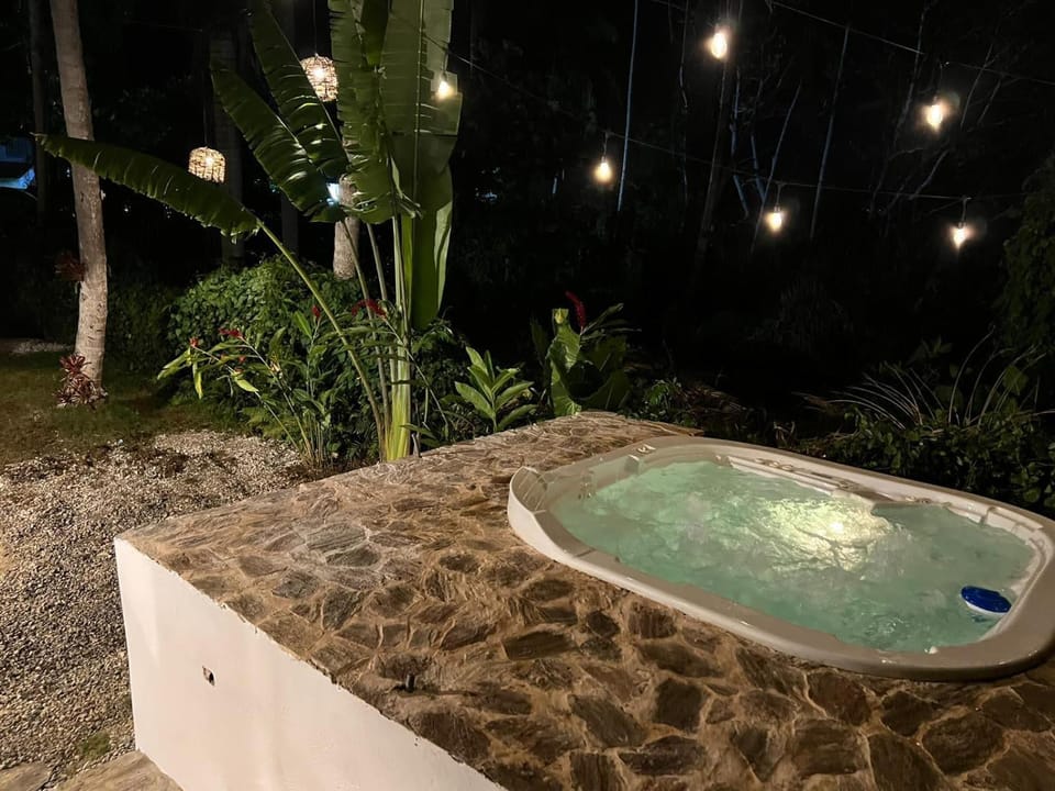 Night, Hot Tub, Garden view