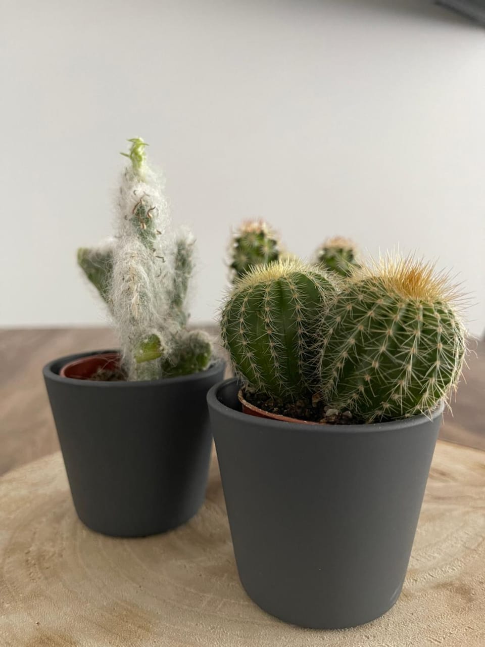 Appartement Wonder 2 au centre de Couvet Apartment in Neuchâtel, Switzerland