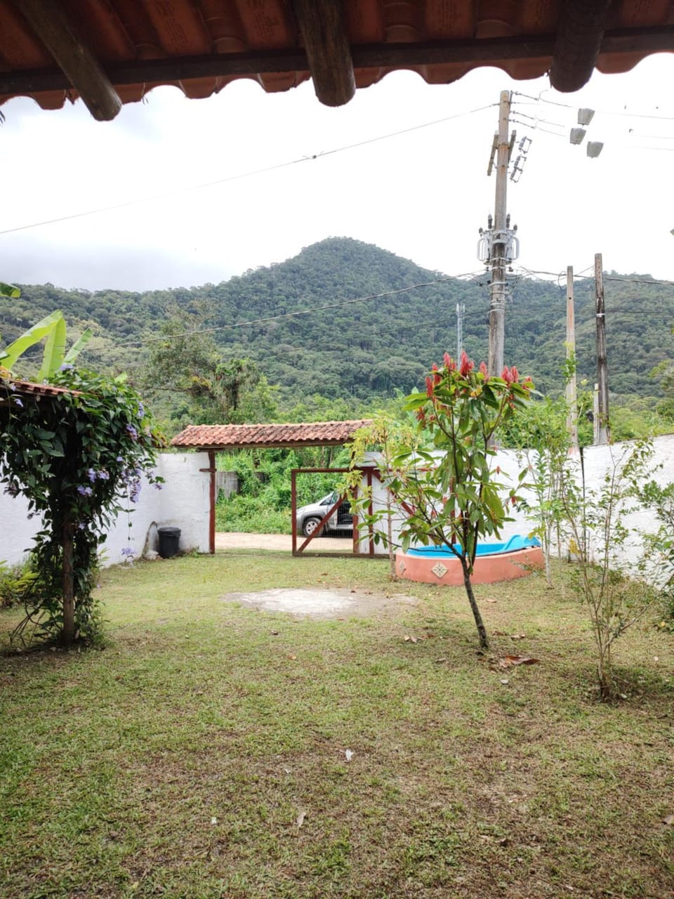 Garden view