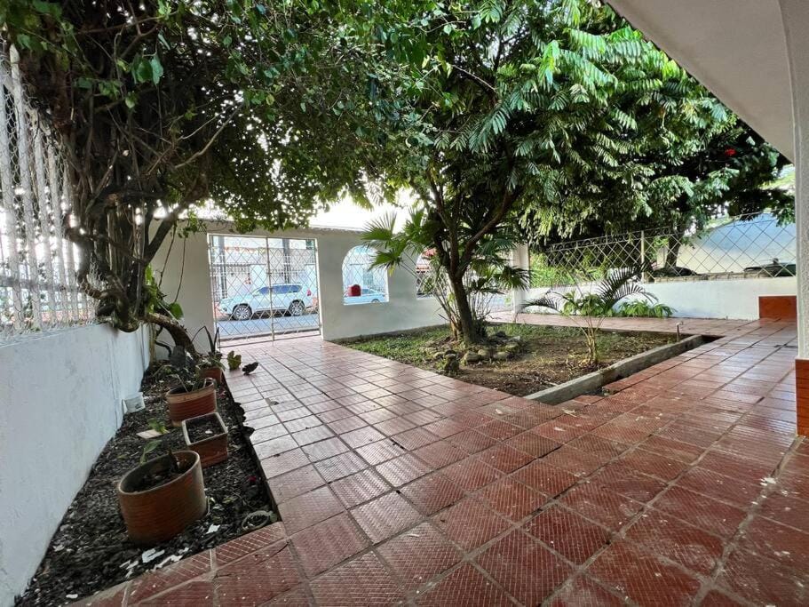 Garden, Inner courtyard view