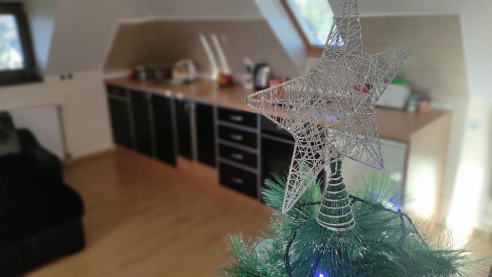 Apartman Lale Zlatibor Apartment in Zlatibor