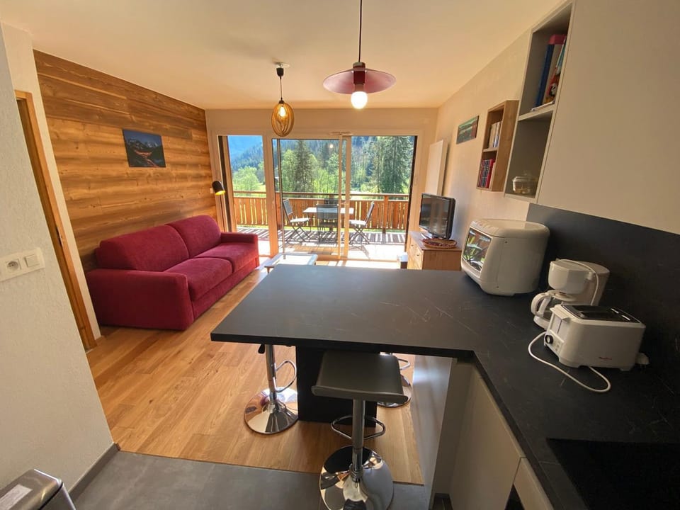 Appartement contemporain et lumineux avec parking, animaux admis - FR-1-693-84 Apartment in Châtel