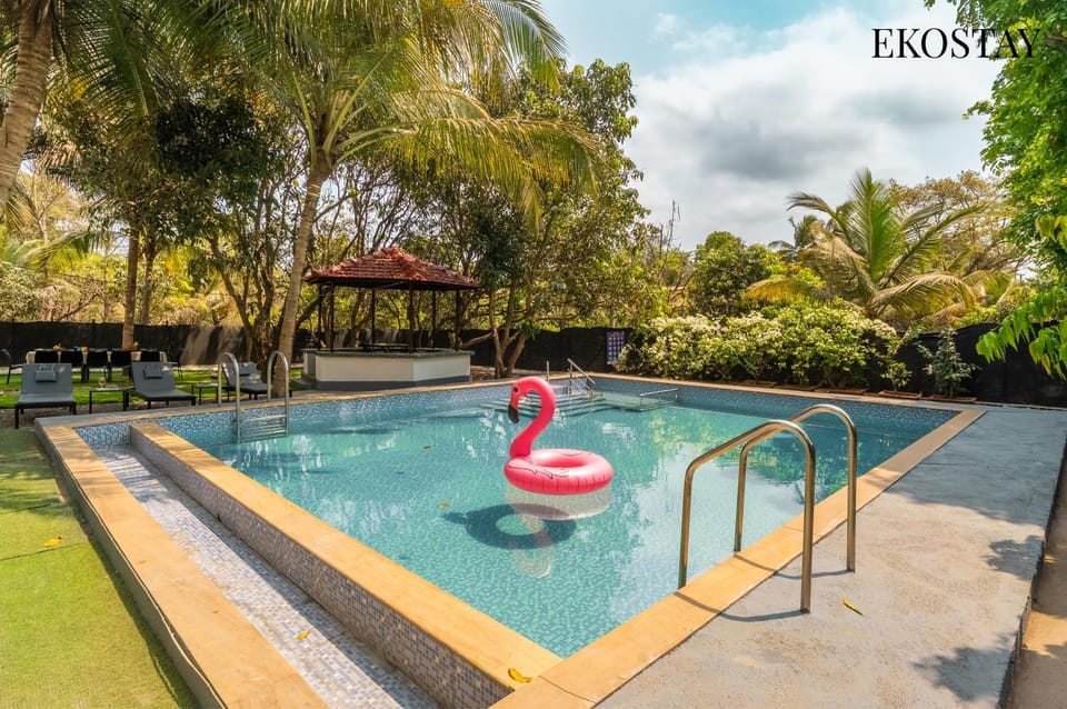 Day, Pool view, Swimming pool