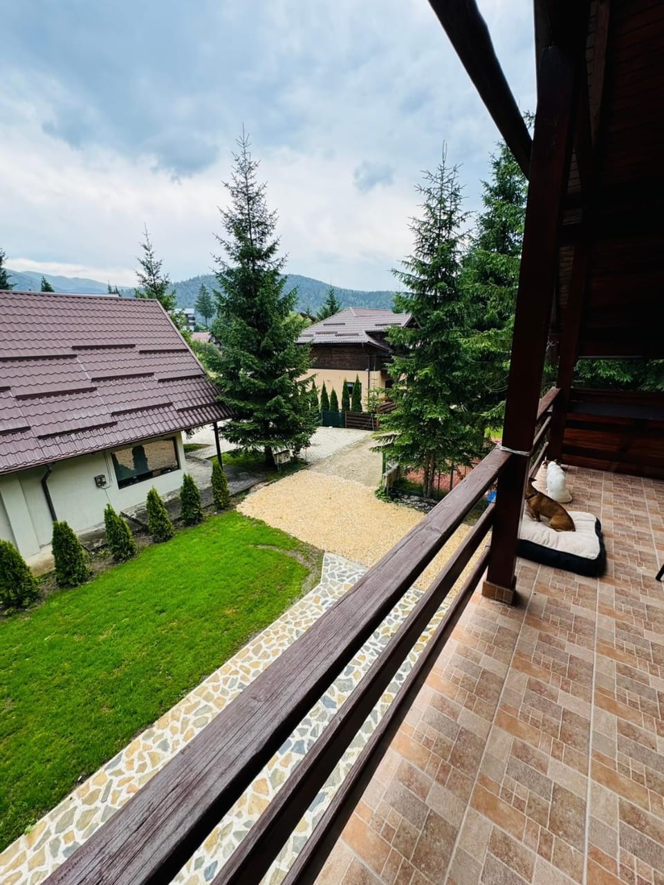 Ollie's Mountain Chalet Chalet in Prahova, Romania