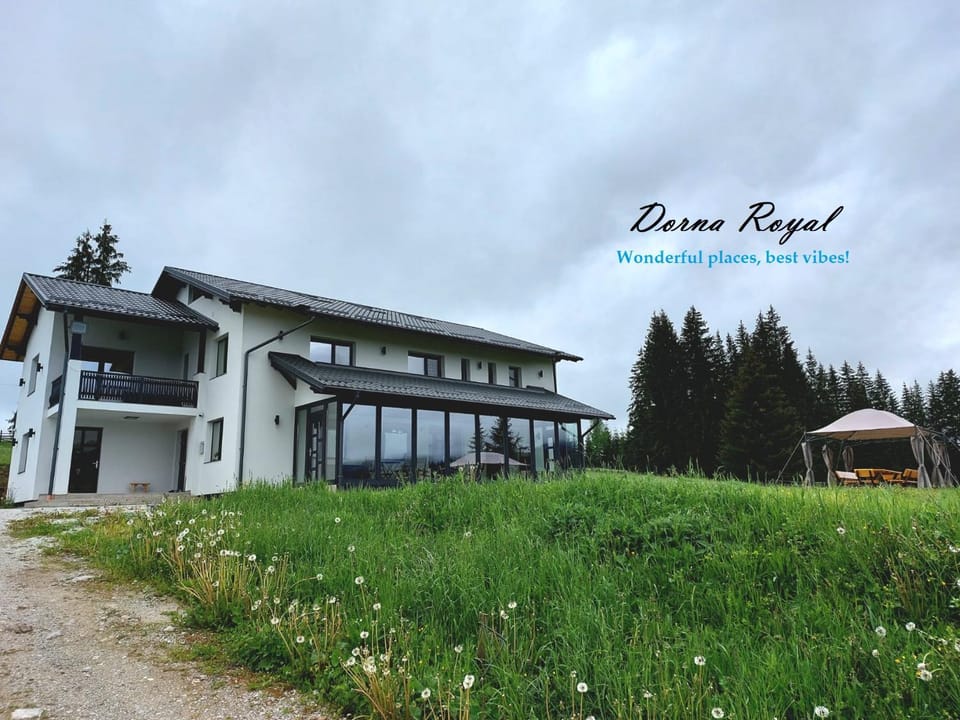 Property building, Day, Natural landscape, Garden, Garden view