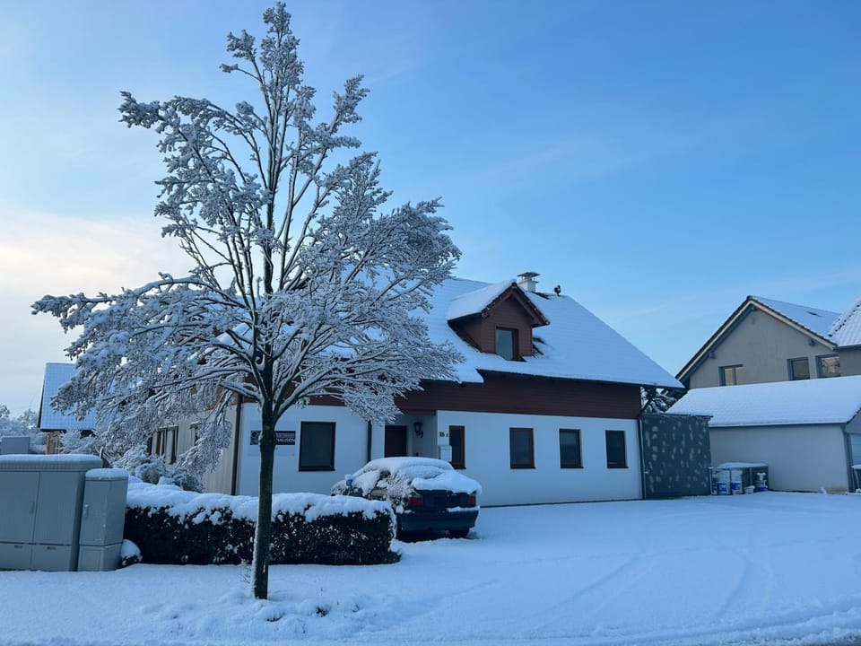 Property building, Winter