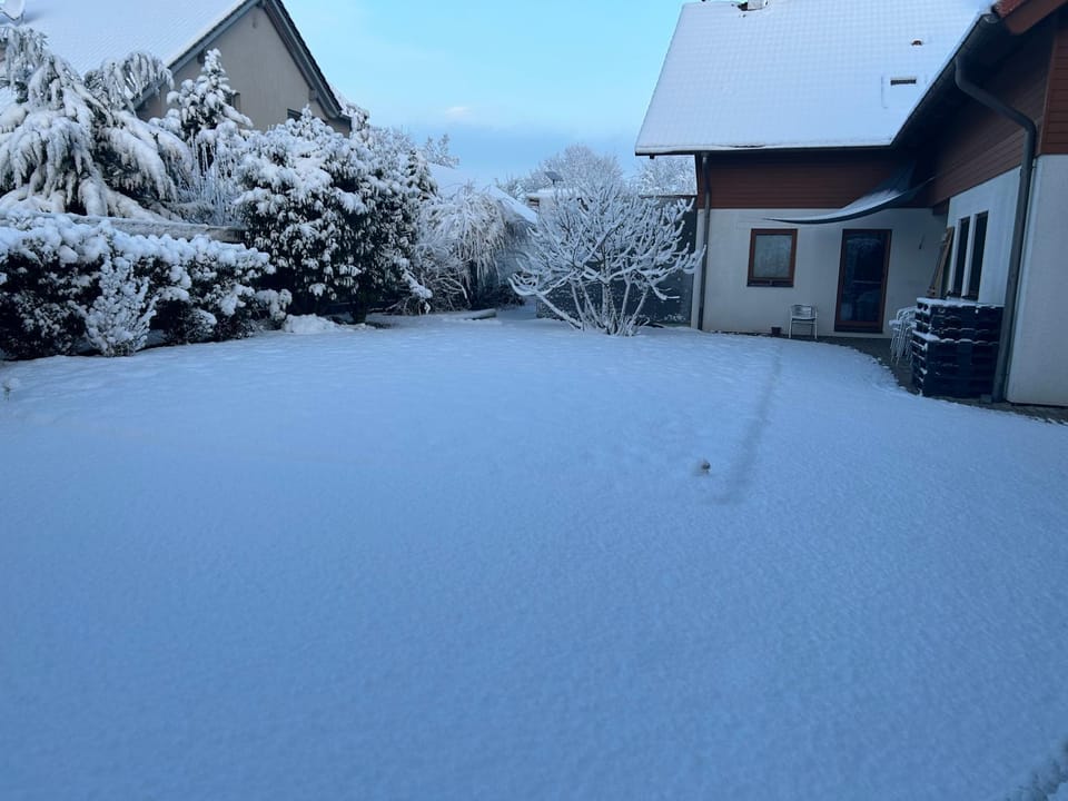 Natural landscape, Winter
