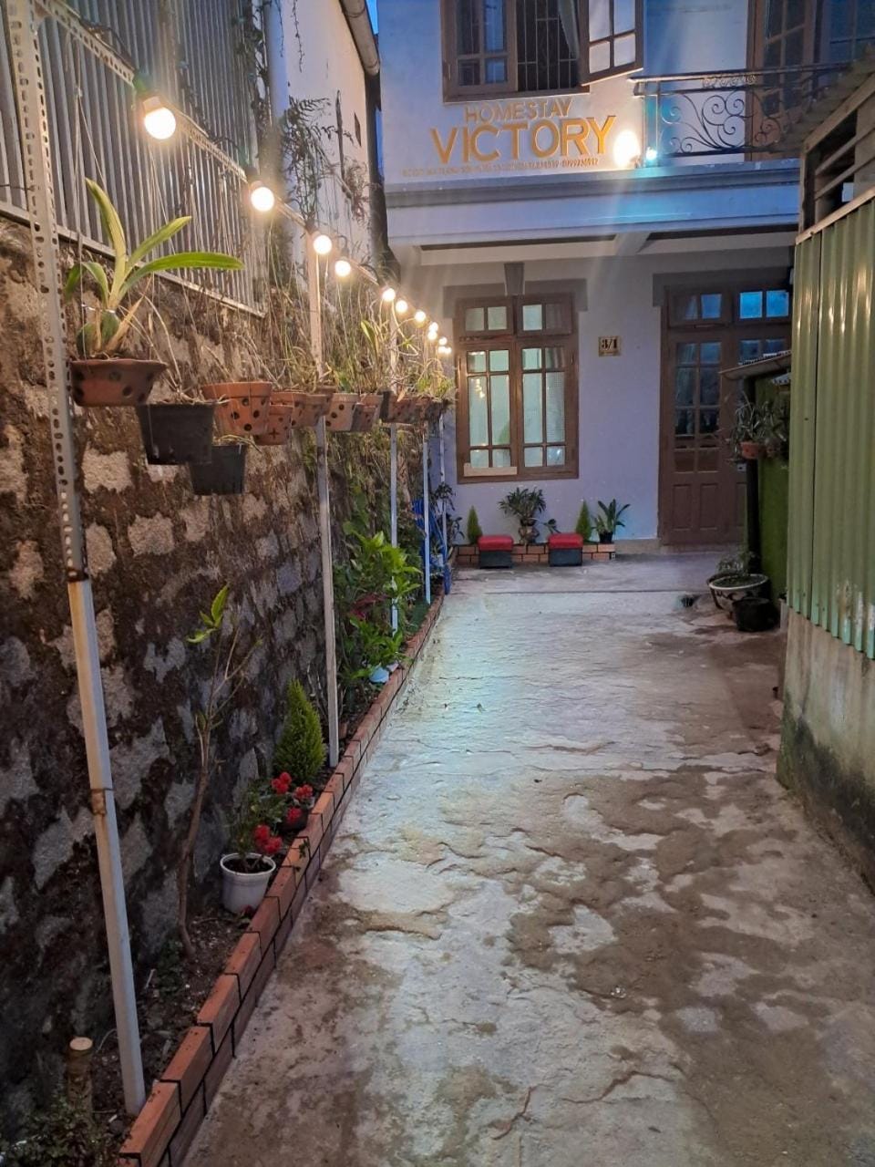 Garden, City view