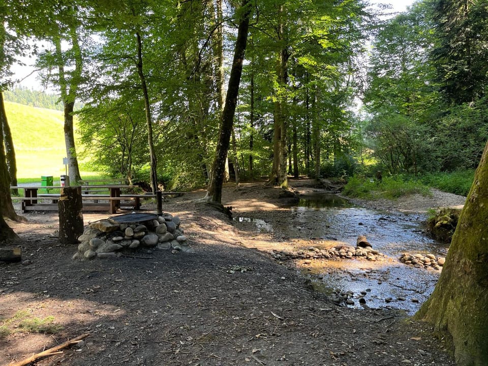 Ferienwohnung auf Bauernhof mit Hotpot und Sauna Apartment in Canton of Bern (Region)