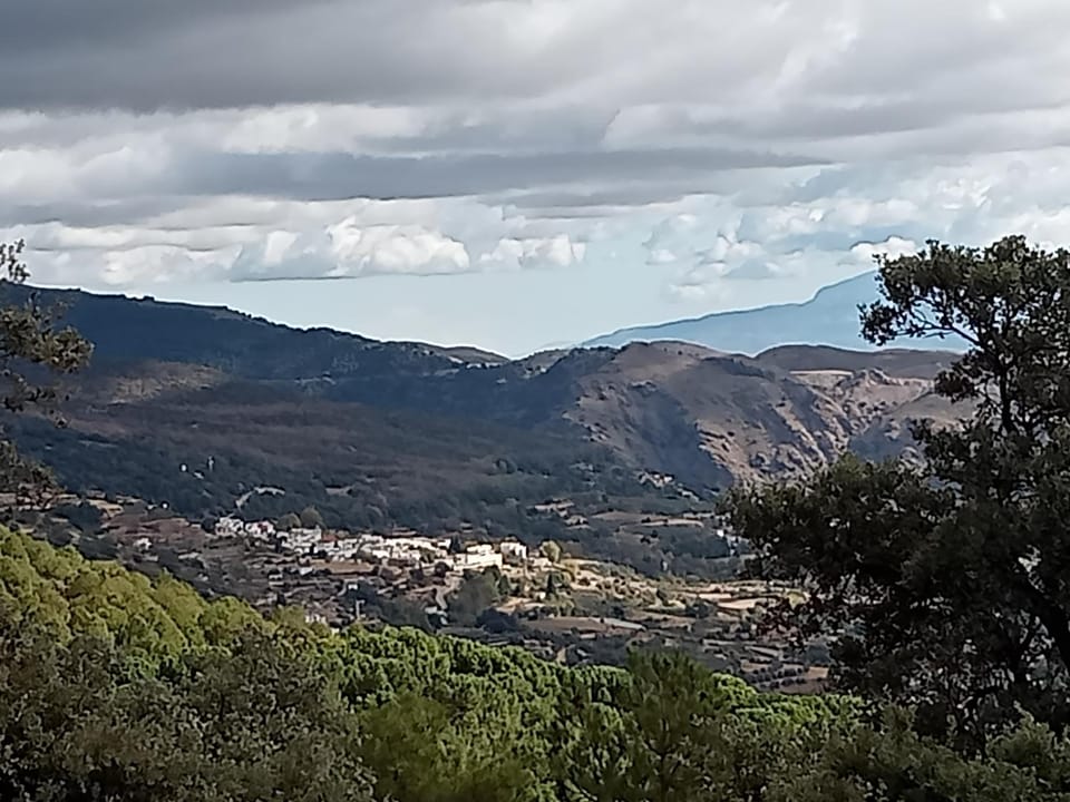 Natural landscape