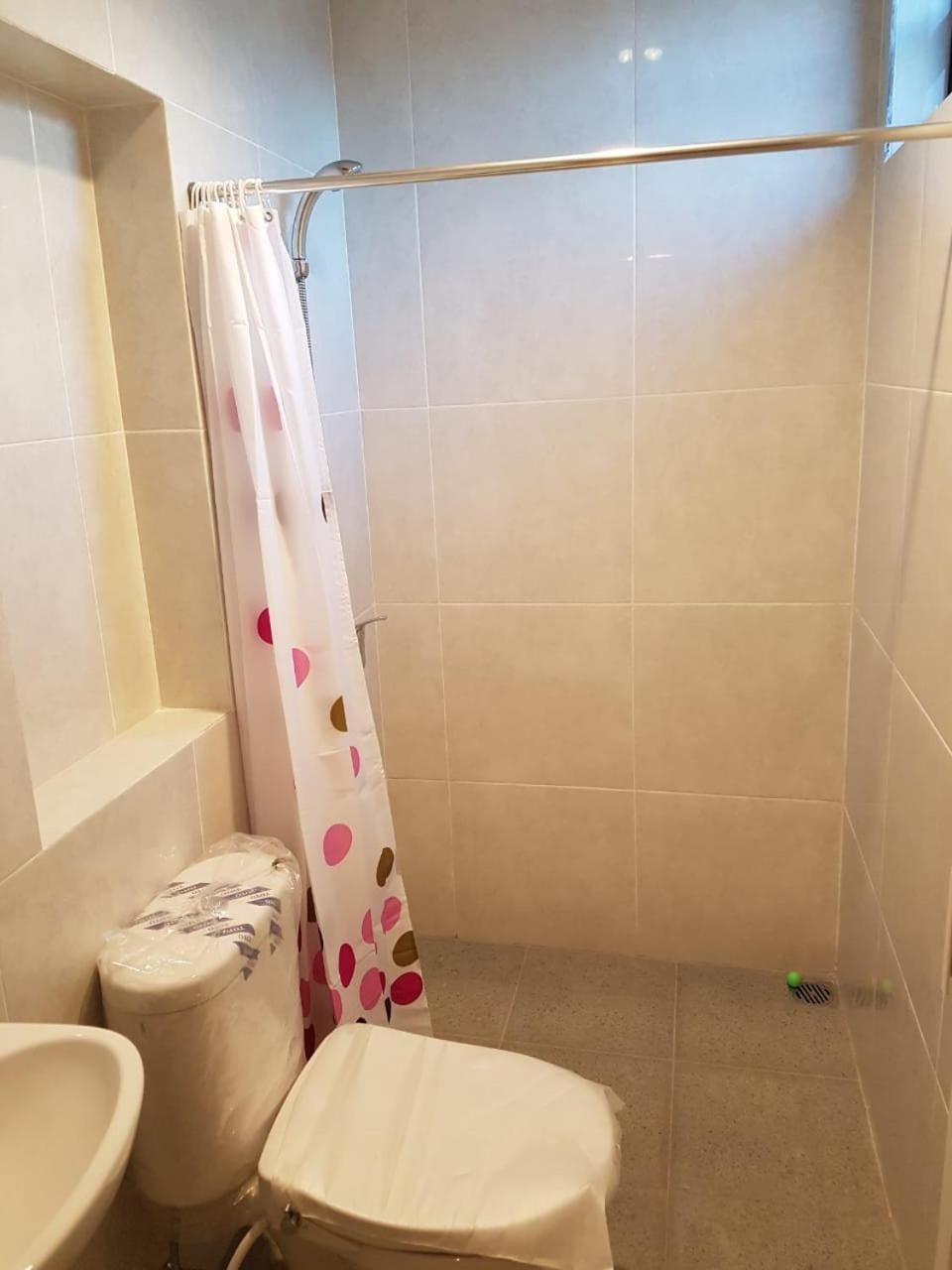 Shower, Toilet, Bathroom, bidet