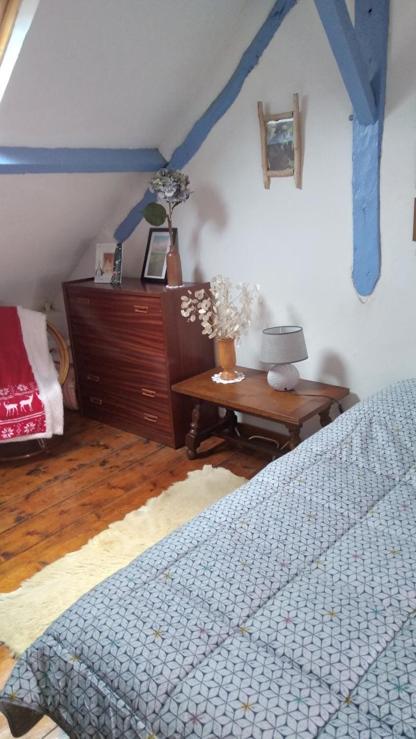 Bed, Photo of the whole room