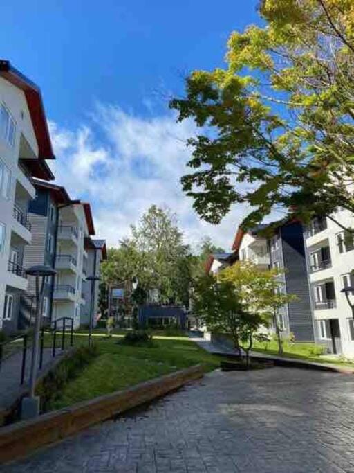 Hermoso Departamento para disfrutar y descansar Apartment in Pucon