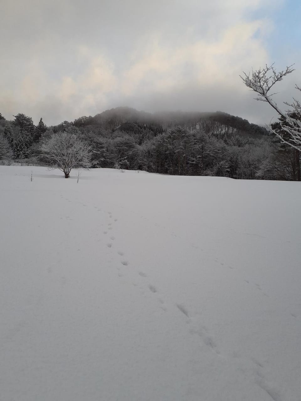 Tanehachi Farm Guesthouse - Vacation STAY 29709v Bed and Breakfast in Japan