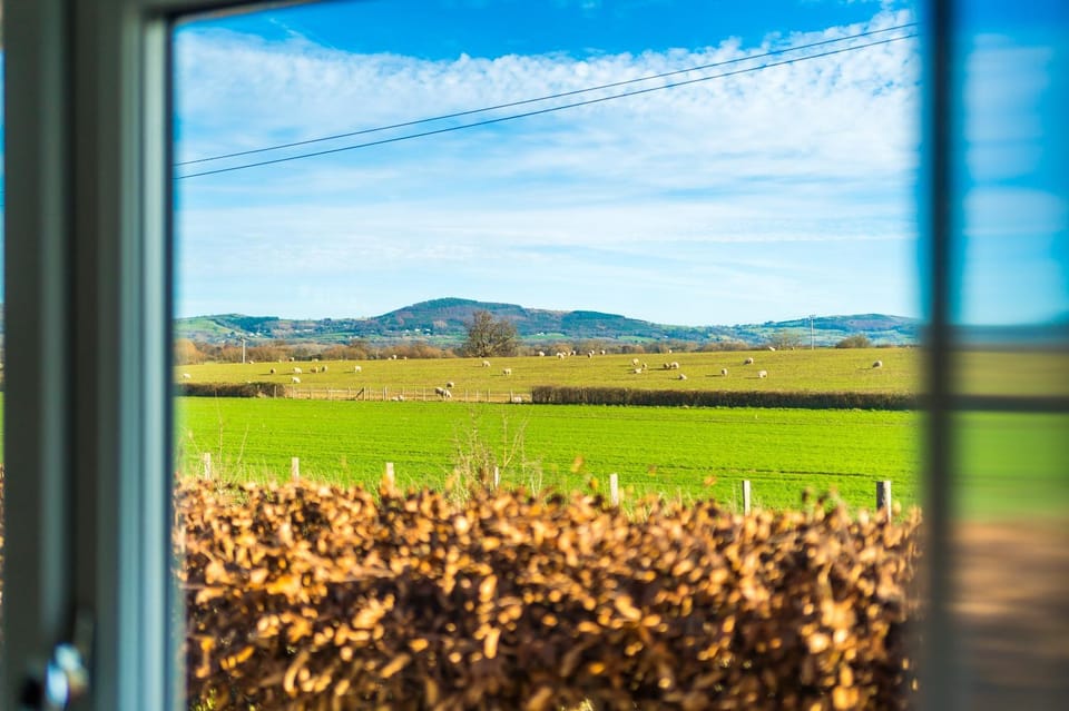 Natural landscape
