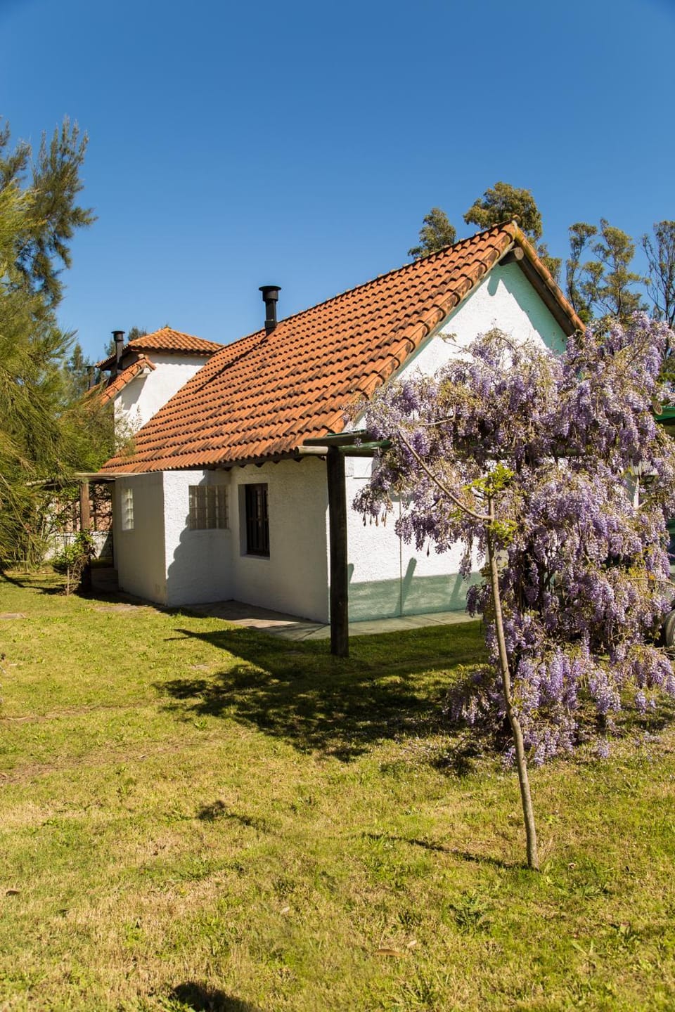 Spring, Natural landscape, Garden